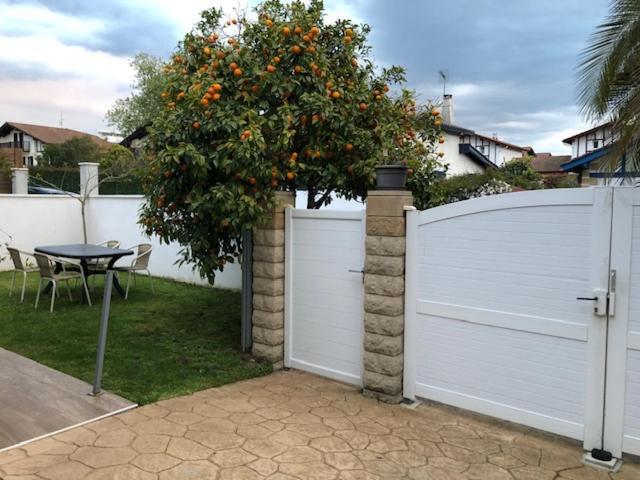 Les Hirondelles 2Km De La Plage-Jardin-Wifi-Parking-Draps Et Serviettes Hendaye Exterior photo